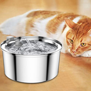 Cordless cat hotsell water fountain